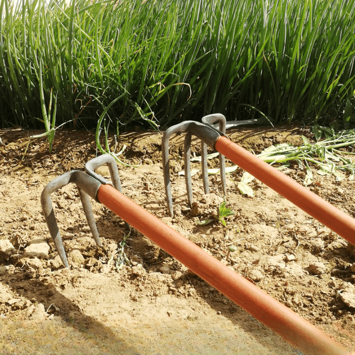 Outil de jardinage robuste, multi-dents, pour labourer, planter.  Acier, design ergonomique.