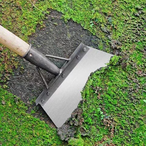Pelle désherbante inox, outil jardinage.  Efficace, ergonomique, durable.  Idéale pour enlever mauvaises herbes.