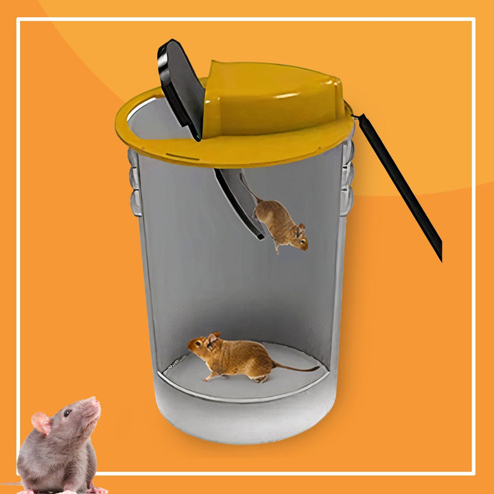 Piège à rats sûr et efficace. Capture multiple, sans poison.  Design discret et facile à utiliser.