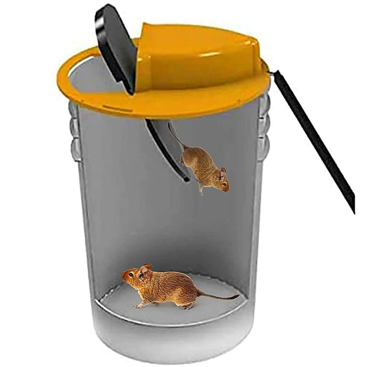 Piège à rats sûr et efficace. Capture multiple, sans poison.  Design discret et facile à utiliser.
