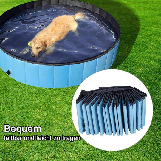 Piscine pliable pour chien, rafraîchissante et robuste. Idéale jardin extérieur.  Facile à ranger.