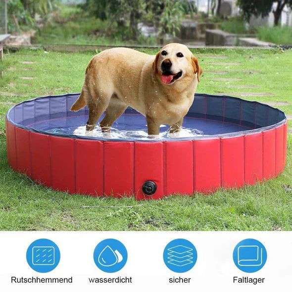 Piscine pliable pour chien, rafraîchissante et robuste. Idéale jardin extérieur.  Facile à ranger.