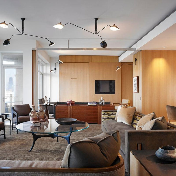 Plafonnier moderne à bras ajustable en métal noir, design élégant et épuré, pour éclairage directionnel contemporain.