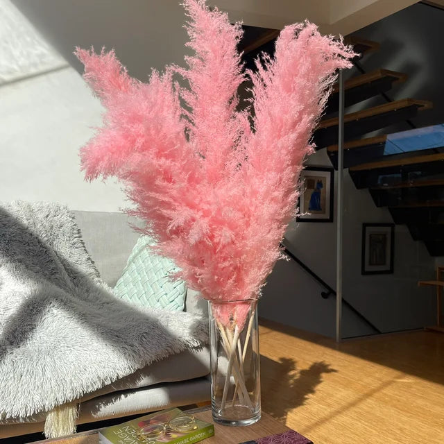 Plume pampas séchée, déco bohème naturelle. Décoration intérieure élégante et vaporeuse.