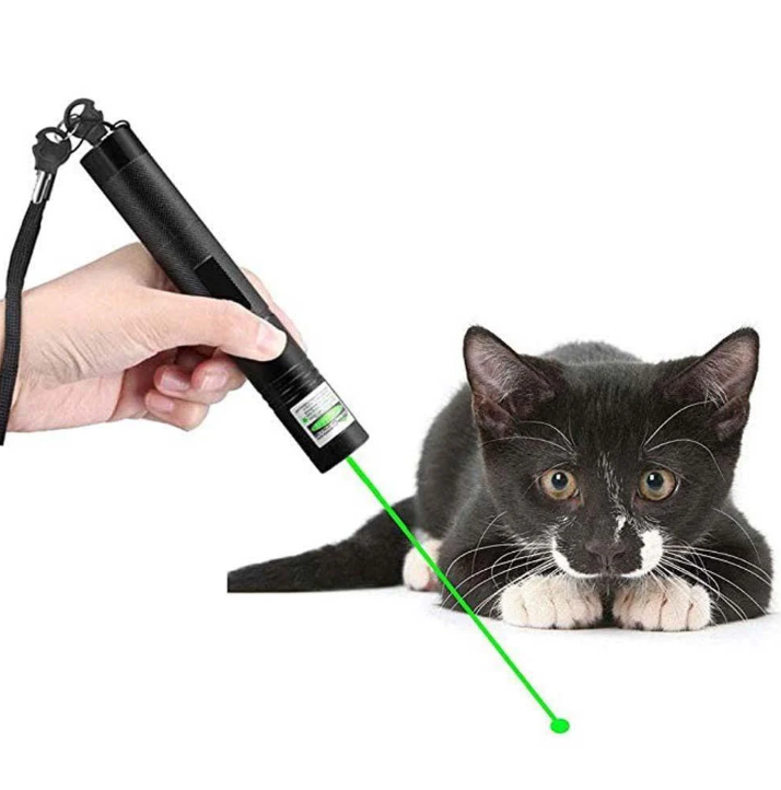 "Pointeur laser vert puissant, design aluminium robuste, faisceau longue portée pour applications variées et activités extéri