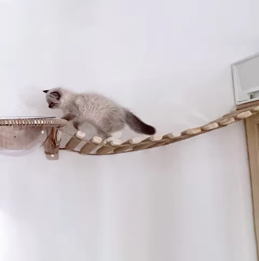 "Pont suspendu pour chats en bois et sisal naturel, échelle murale moderne, espace de jeu et exploration féline à domicile."
