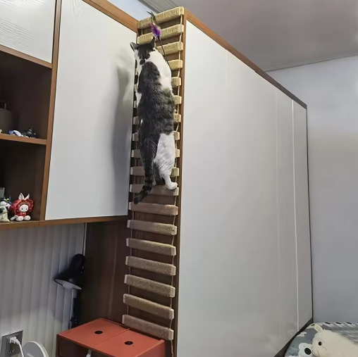 "Pont suspendu pour chats en bois et sisal naturel, échelle murale moderne, espace de jeu et exploration féline à domicile."