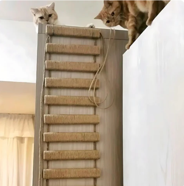 "Pont suspendu pour chats en bois et sisal naturel, échelle murale moderne, espace de jeu et exploration féline à domicile."