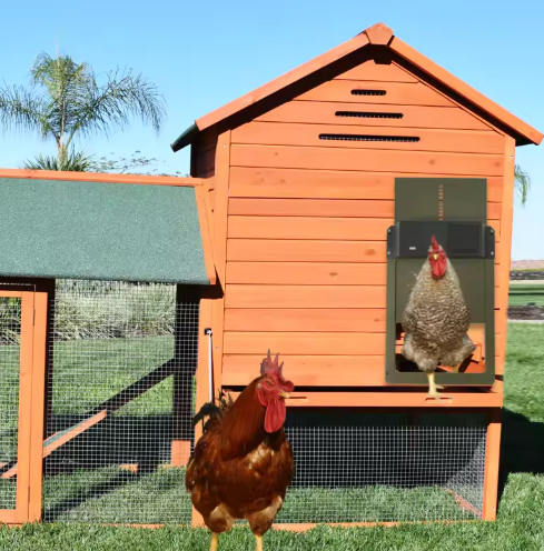 Porte automatique poulailler: ouverture/fermeture programmée. Sécurité optimale pour vos poules.  Installation facile.