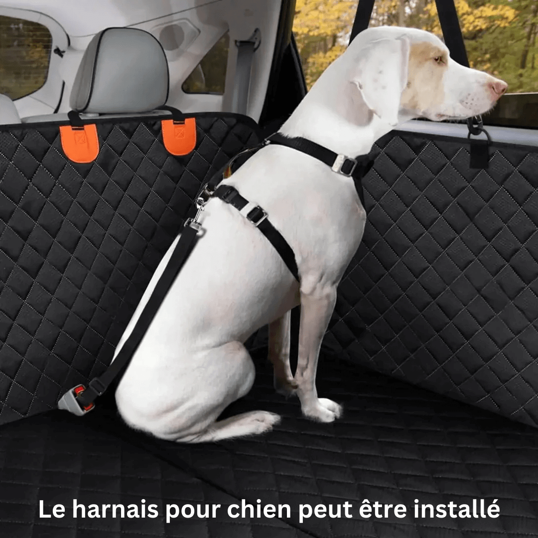 Protecteur siège auto pour chien, résistant à l'eau, noir, ajuste les sièges universel, offre confort et sécurité en voyage.