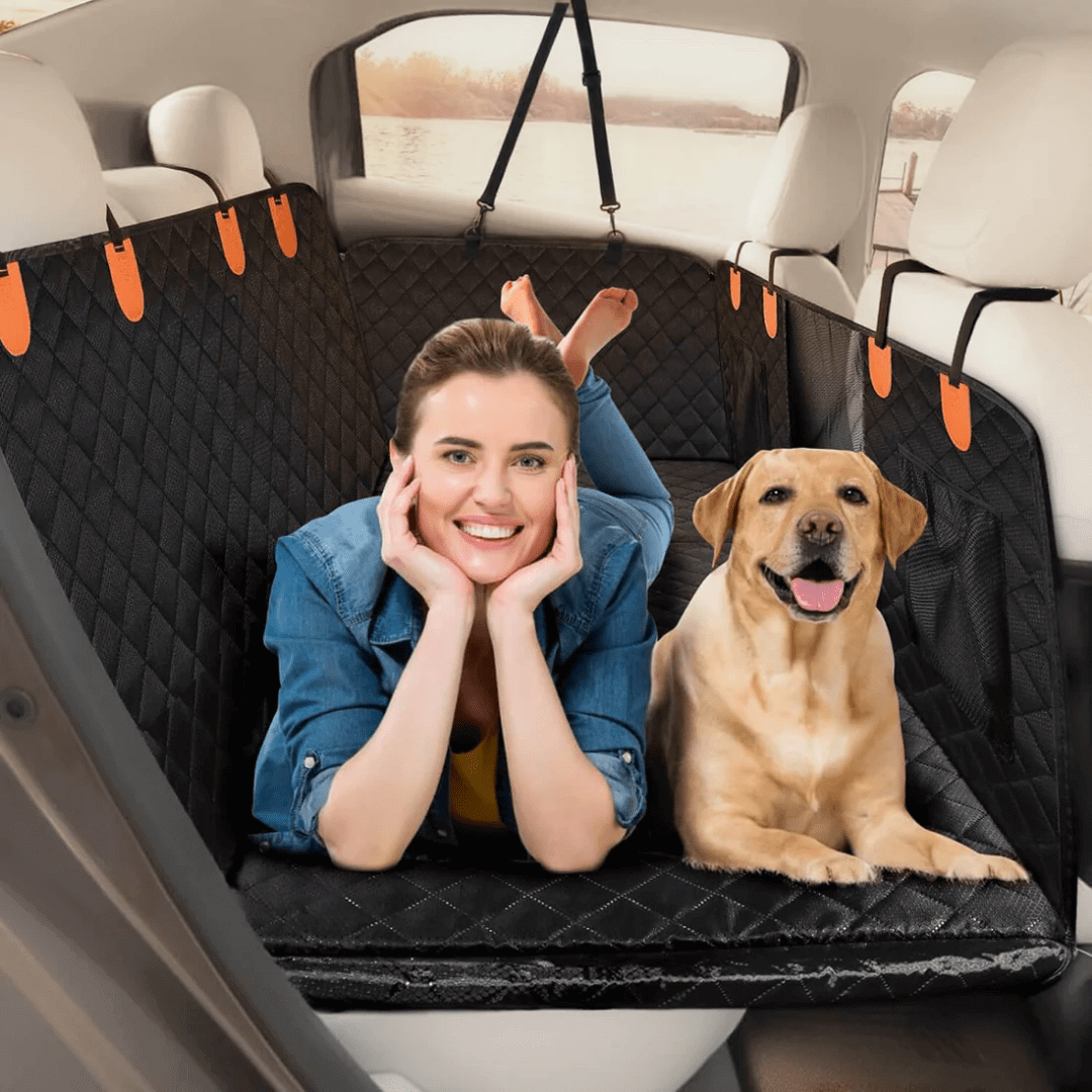 Protecteur siège auto pour chien, résistant à l'eau, noir, ajuste les sièges universel, offre confort et sécurité en voyage.