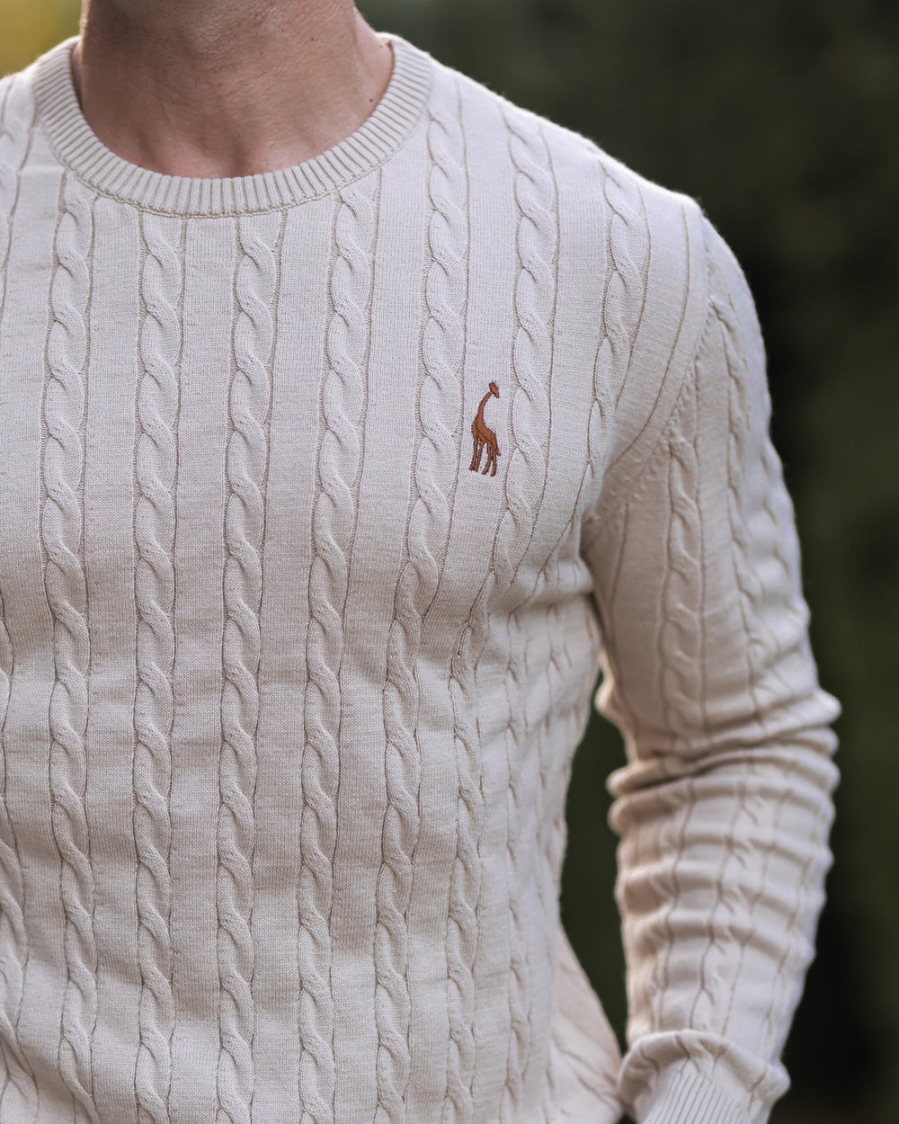 Chandail homme classique à mailles torsadées beige, mode masculine confortable.
