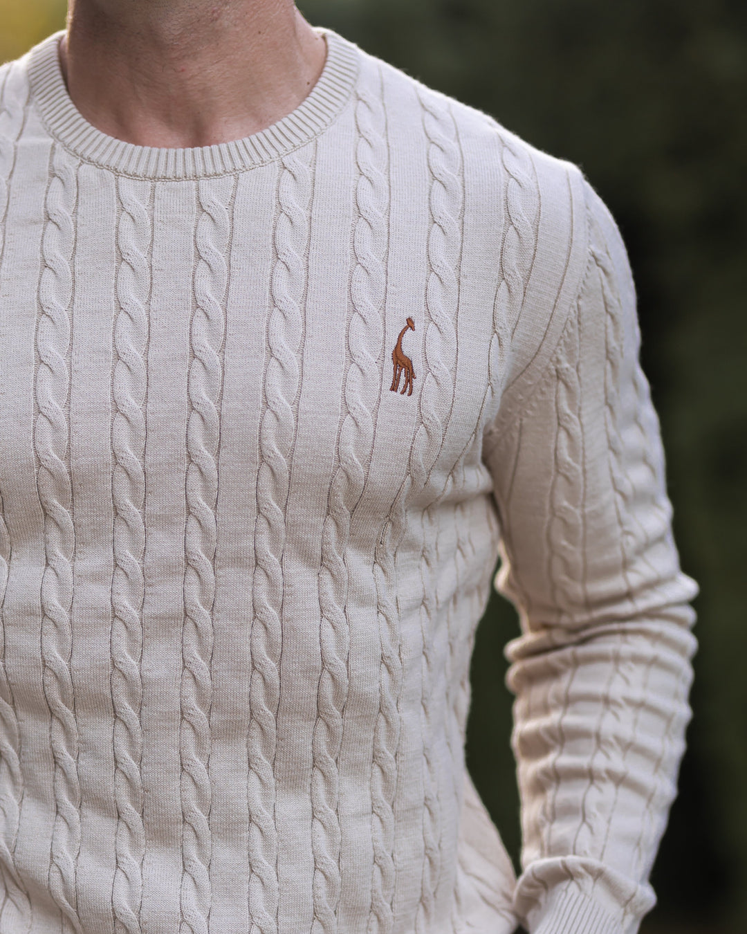 Chandail homme classique à mailles torsadées beige, mode masculine confortable.