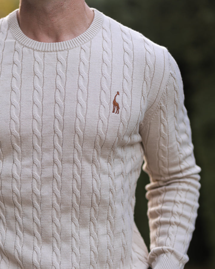 Chandail homme classique à mailles torsadées beige, mode masculine confortable.
