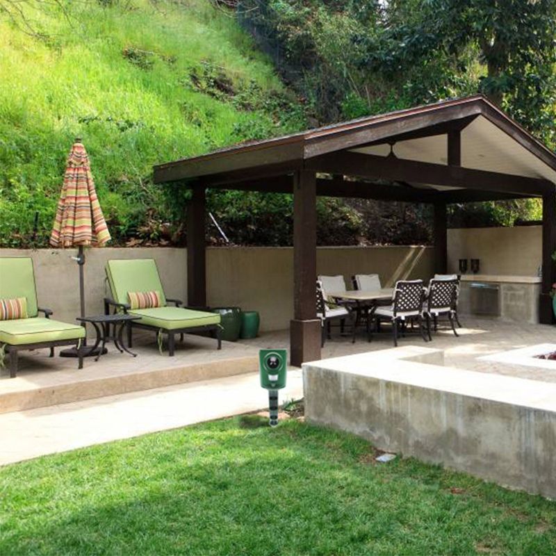 Répulsif chats ultrasons extérieur.  Protection jardin, discret et efficace.