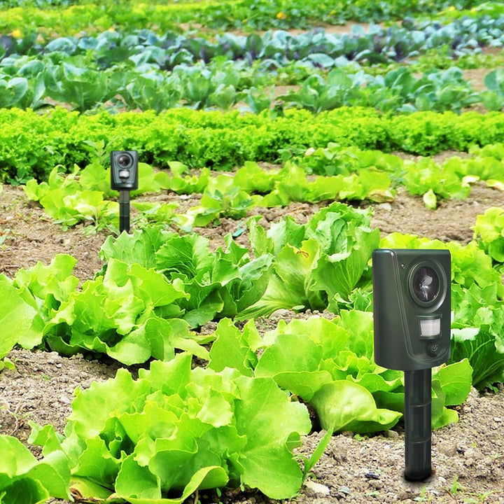 Répulsif chats ultrasons extérieur.  Protection jardin, discret et efficace.