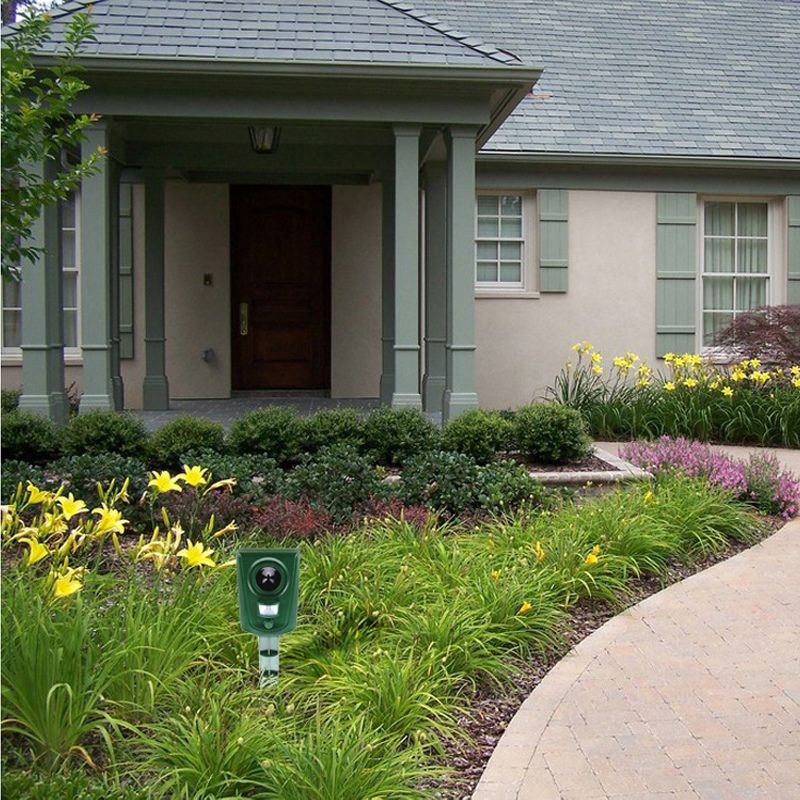 Répulsif chats ultrasons extérieur.  Protection jardin, discret et efficace.