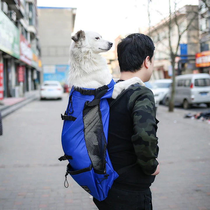 Sac à dos confortable pour chien, transport animal sécurisé. Design ergonomique, matériaux respirants.