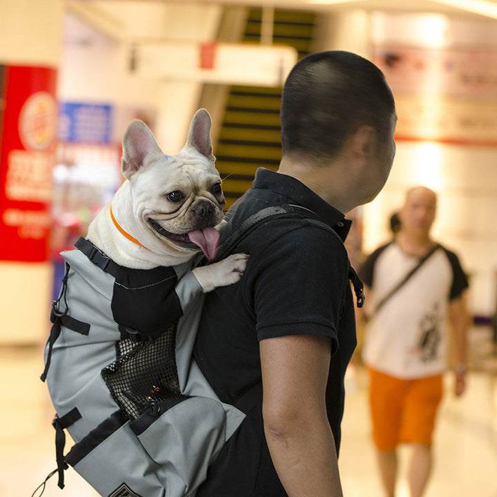 Sac à dos confortable pour chien, transport animal sécurisé. Design ergonomique, matériaux respirants.