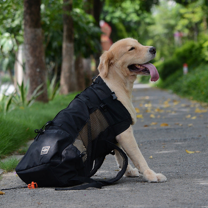 Sac à dos confortable pour chien, transport animal sécurisé. Design ergonomique, matériaux respirants.