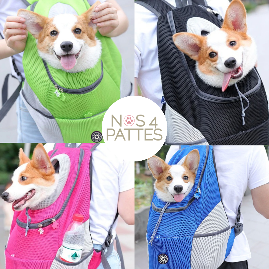Sac à dos transport animaux ergonomique et résistant, avec sangle sécurité et matériaux respirants pour confort optimal.