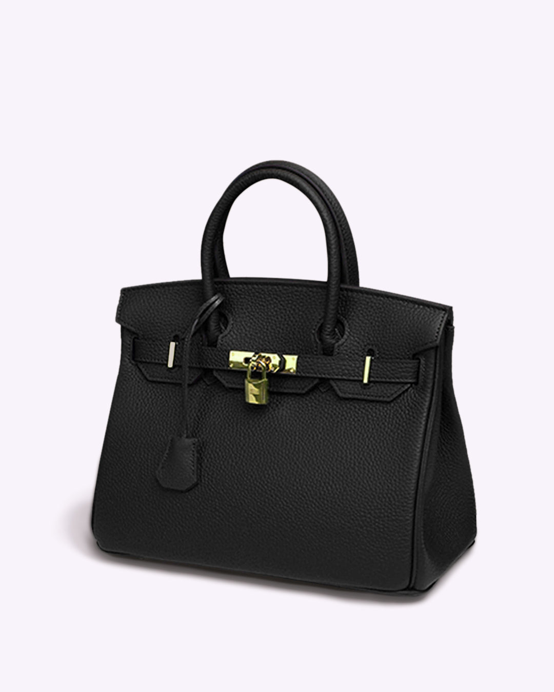 "Sac à main Evelina en cuir luxueux, design élégant avec détails modernes, intérieur spacieux, pour femme tendance."