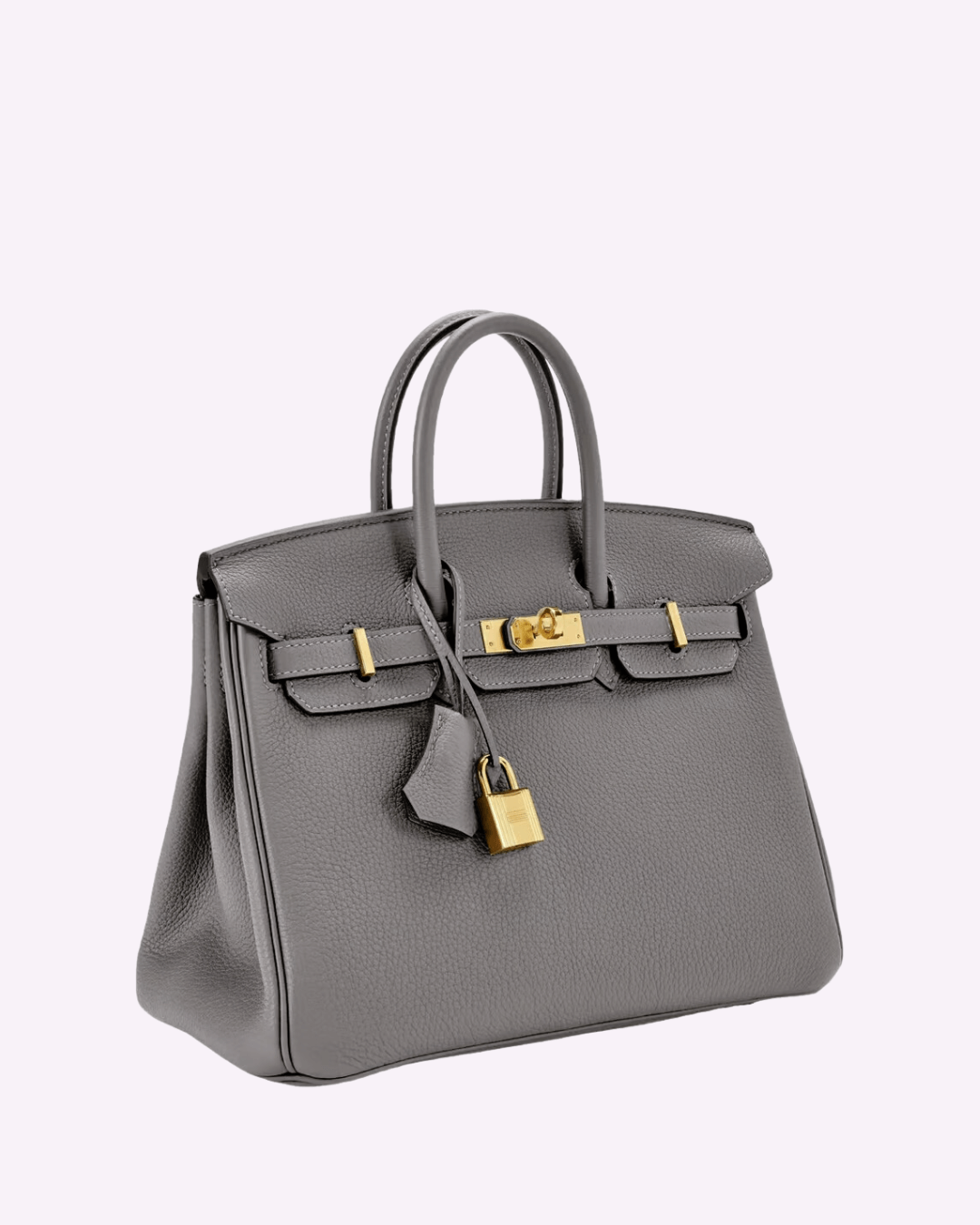 "Sac à main Evelina en cuir luxueux, design élégant avec détails modernes, intérieur spacieux, pour femme tendance."