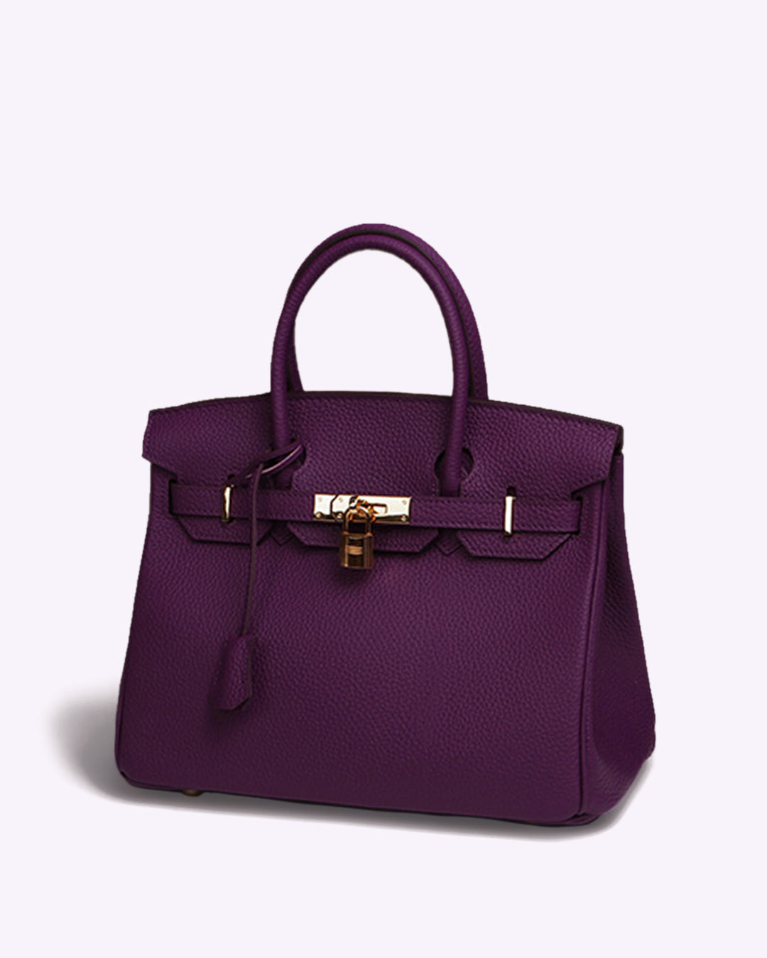 "Sac à main Evelina en cuir luxueux, design élégant avec détails modernes, intérieur spacieux, pour femme tendance."