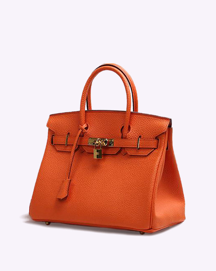"Sac à main Evelina en cuir luxueux, design élégant avec détails modernes, intérieur spacieux, pour femme tendance."