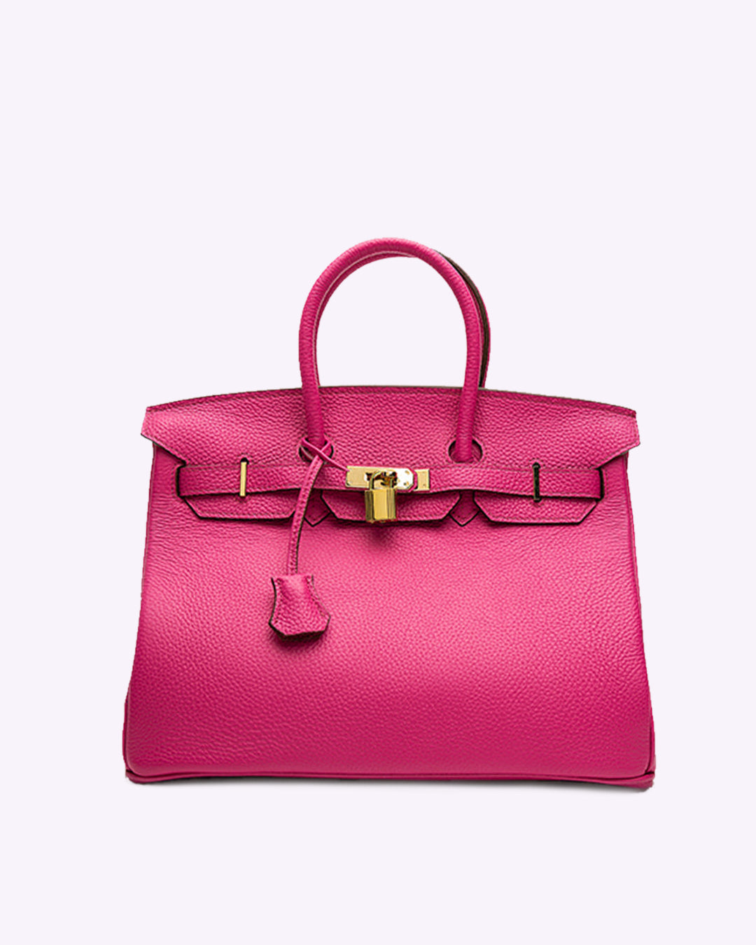 "Sac à main Evelina en cuir luxueux, design élégant avec détails modernes, intérieur spacieux, pour femme tendance."