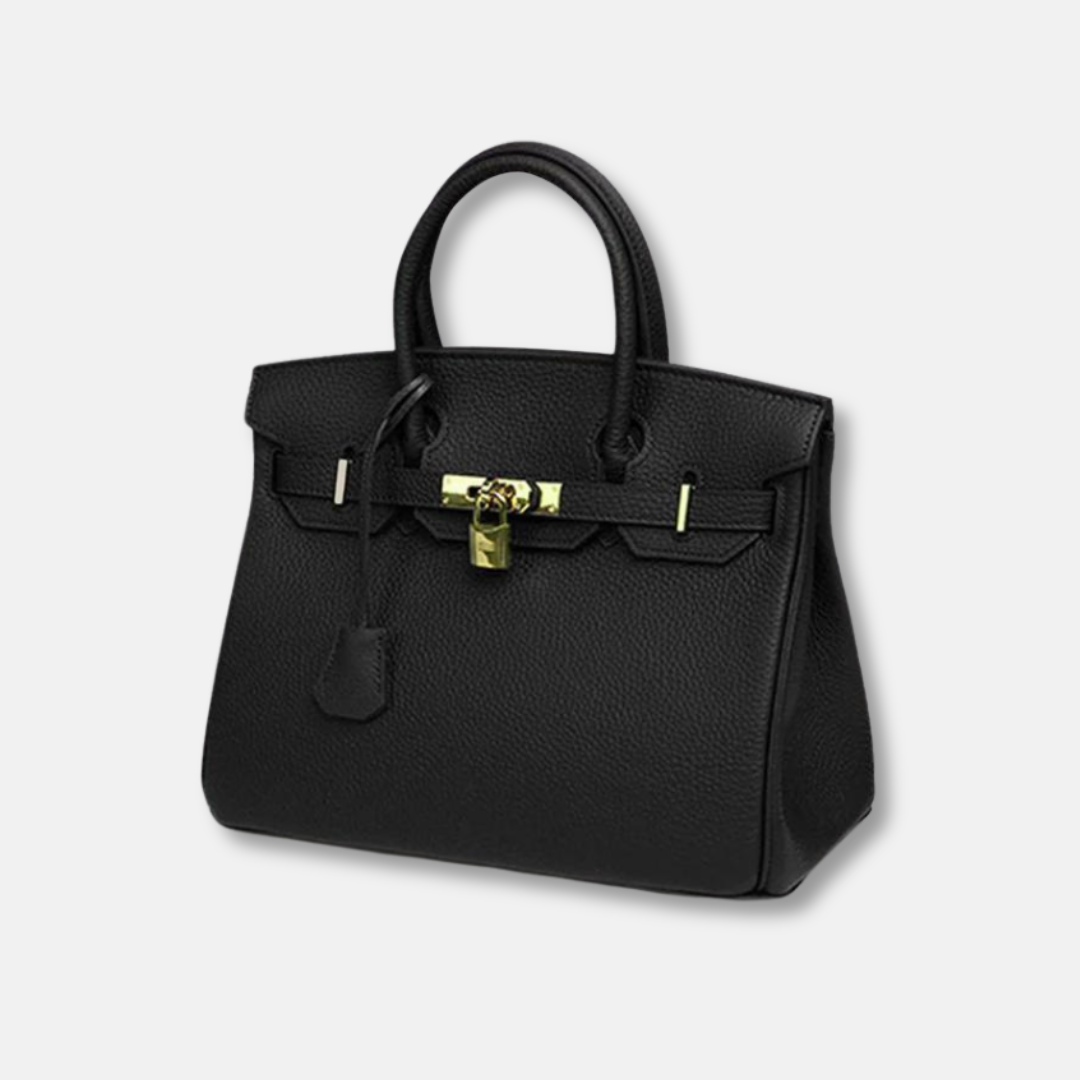 "Sac à main Evelina en cuir luxueux, design élégant avec détails modernes, intérieur spacieux, pour femme tendance."
