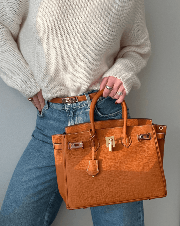 "Sac à main Evelina en cuir luxueux, design élégant avec détails modernes, intérieur spacieux, pour femme tendance."