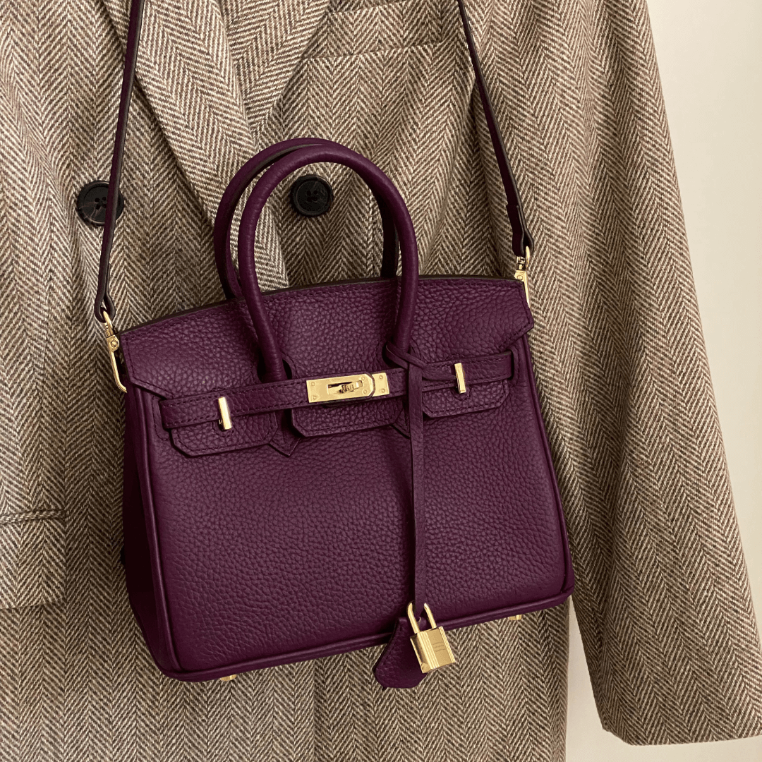 "Sac à main Evelina en cuir luxueux, design élégant avec détails modernes, intérieur spacieux, pour femme tendance."