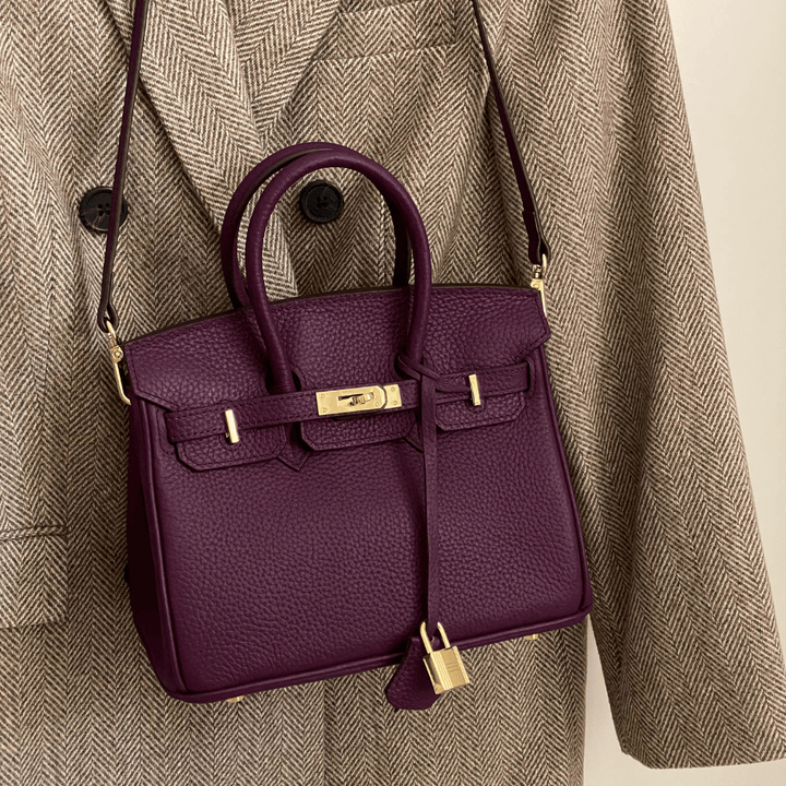 "Sac à main Evelina en cuir luxueux, design élégant avec détails modernes, intérieur spacieux, pour femme tendance."