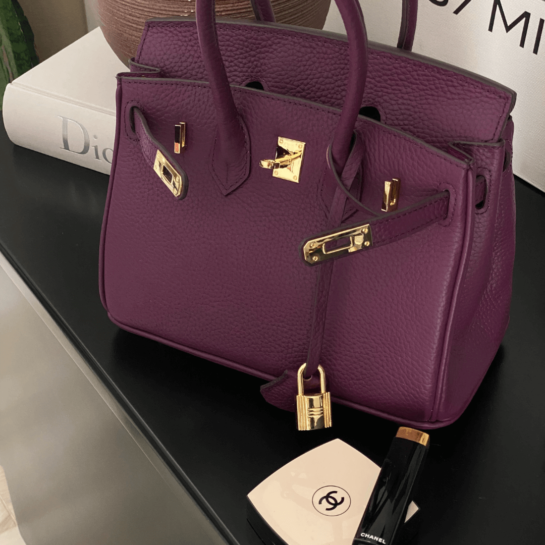 "Sac à main Evelina en cuir luxueux, design élégant avec détails modernes, intérieur spacieux, pour femme tendance."