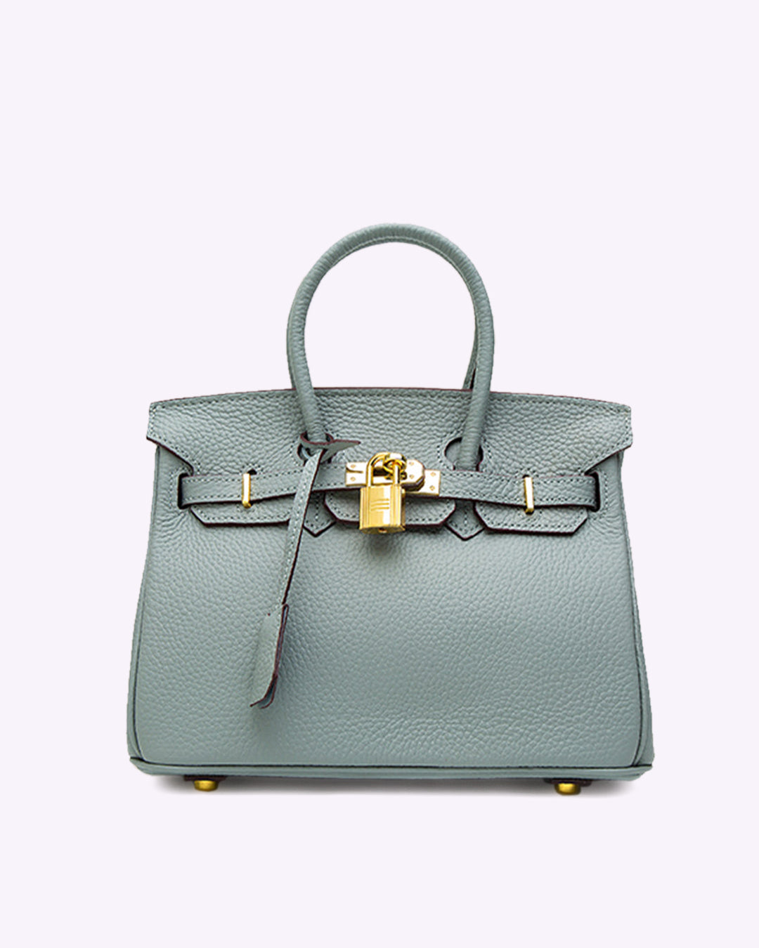 "Sac à main Evelina en cuir luxueux, design élégant avec détails modernes, intérieur spacieux, pour femme tendance."
