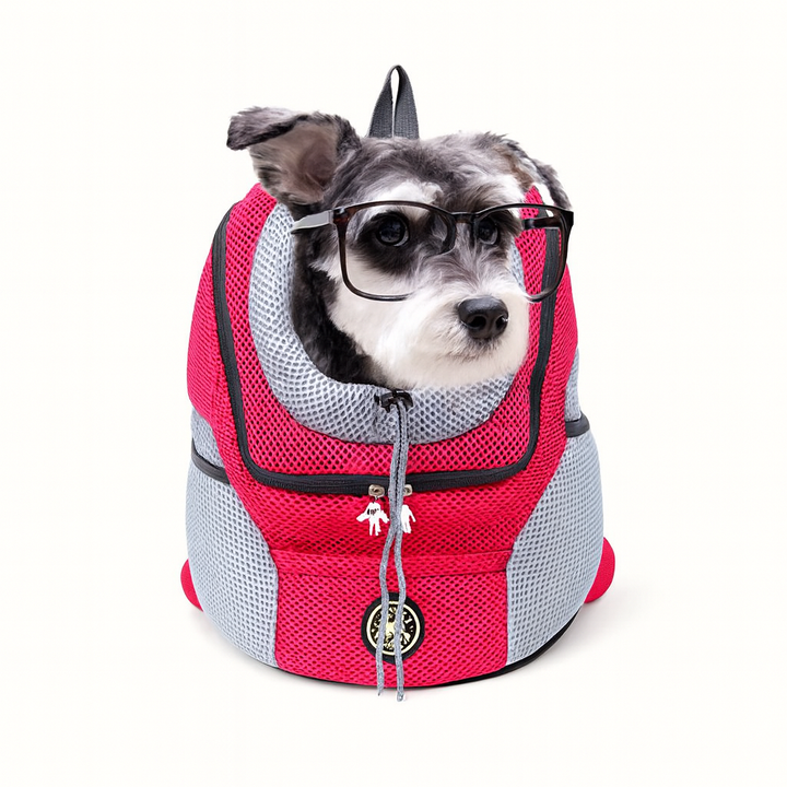 Sac à dos transportable pour chiens et chats, accessoire de voyage sécurisé et pratique pour balades.