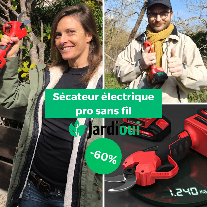 Sécateur électrique sans fil, coupe nette jusqu'à 30mm. Batterie incluse. Jardinage facile.