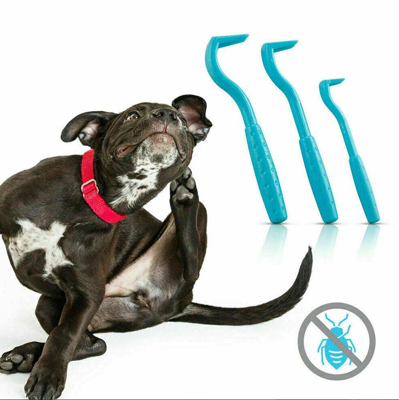 "Set de crochets à tiques pour animaux, 3 tailles, design fonctionnel, retrait sécurisé sans douleur pour tous les animaux."