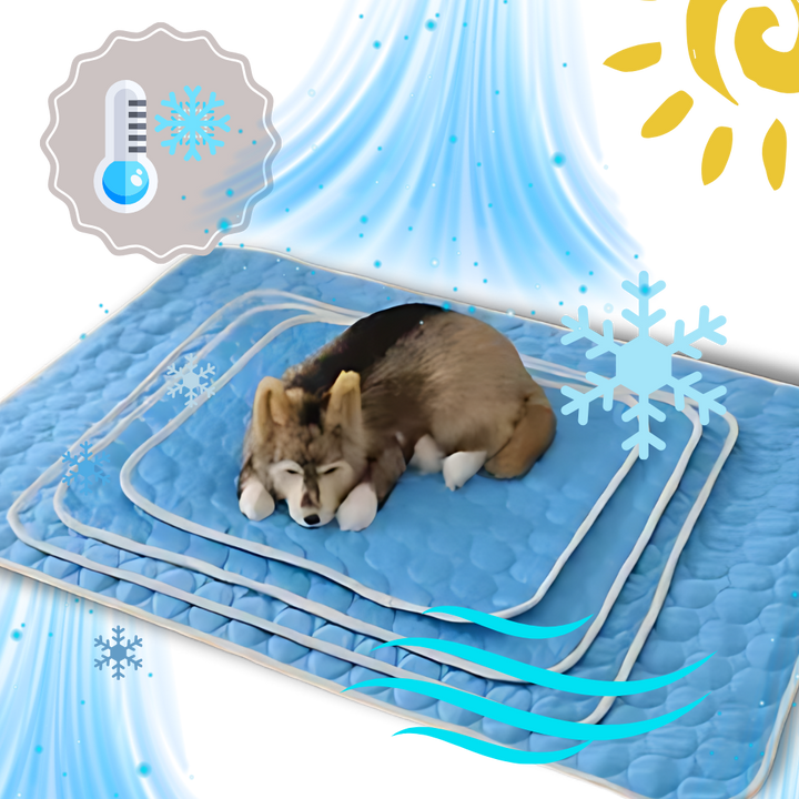 Tapis rafraîchissant en soie pour animaux de compagnie

 - Ozerty