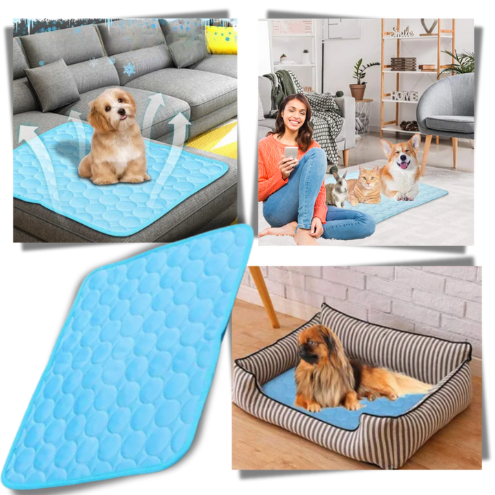 Tapis rafraîchissant en soie pour animaux de compagnie

 - Ozerty