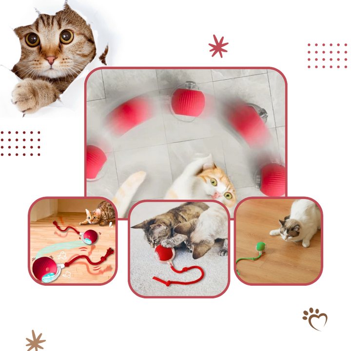 Jouet interactif intelligent pour chats  - Ozerty