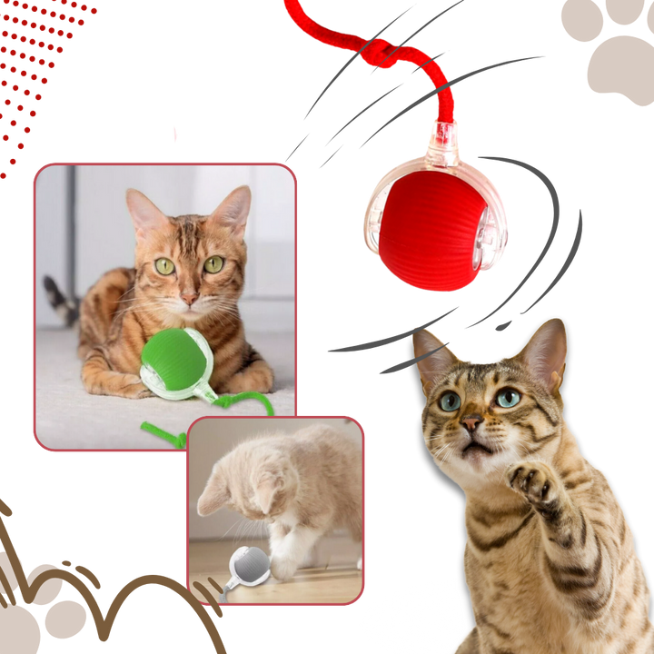 Jouet interactif intelligent pour chats  - Ozerty