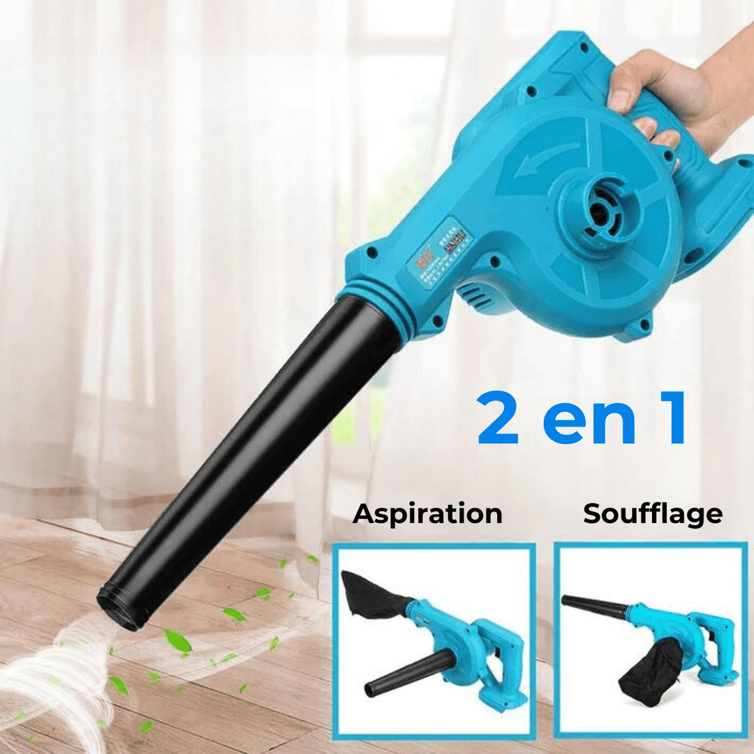 Souffleur-aspirateur sans fil 2-en-1.  Léger, ergonomique, nettoyage jardin facile.