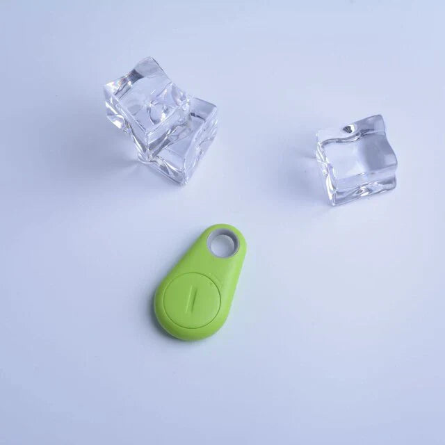 Suivi GPS animal: tracker compact et robuste pour une localisation précise en temps réel. Sécurité et tranquillité assurées.