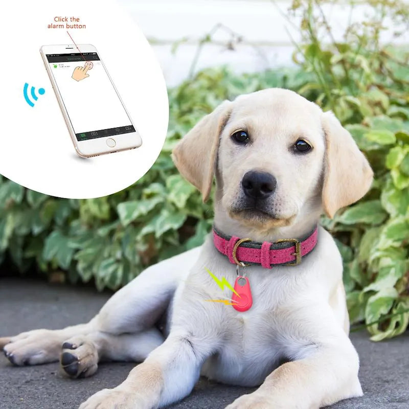 Suivi GPS animal: tracker compact et robuste pour une localisation précise en temps réel. Sécurité et tranquillité assurées.