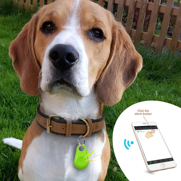 Suivi GPS animal: tracker compact et robuste pour une localisation précise en temps réel. Sécurité et tranquillité assurées.