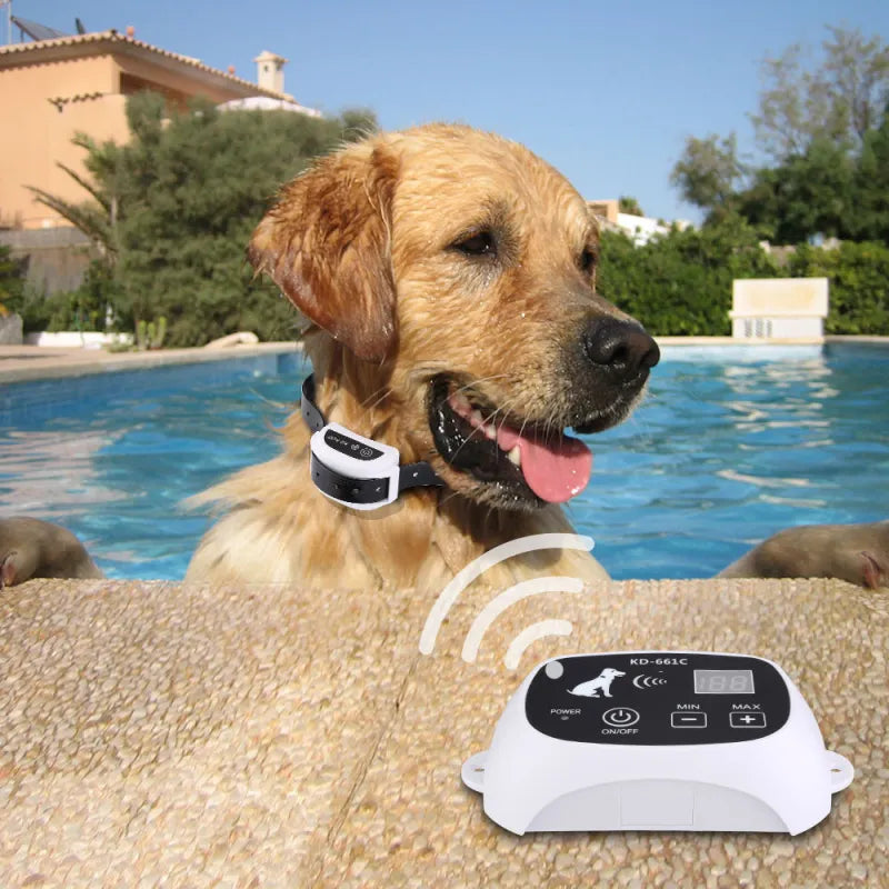 Système dressage chien sans fil rechargeable IP67.  Clôture invisible pour chien, sécurité et liberté.