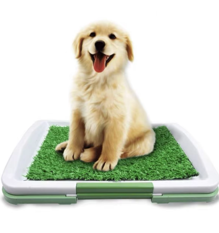 Tapis gazon synthétique antidérapant pour chien, intérieur/extérieur.  Hygiénique et confortable.