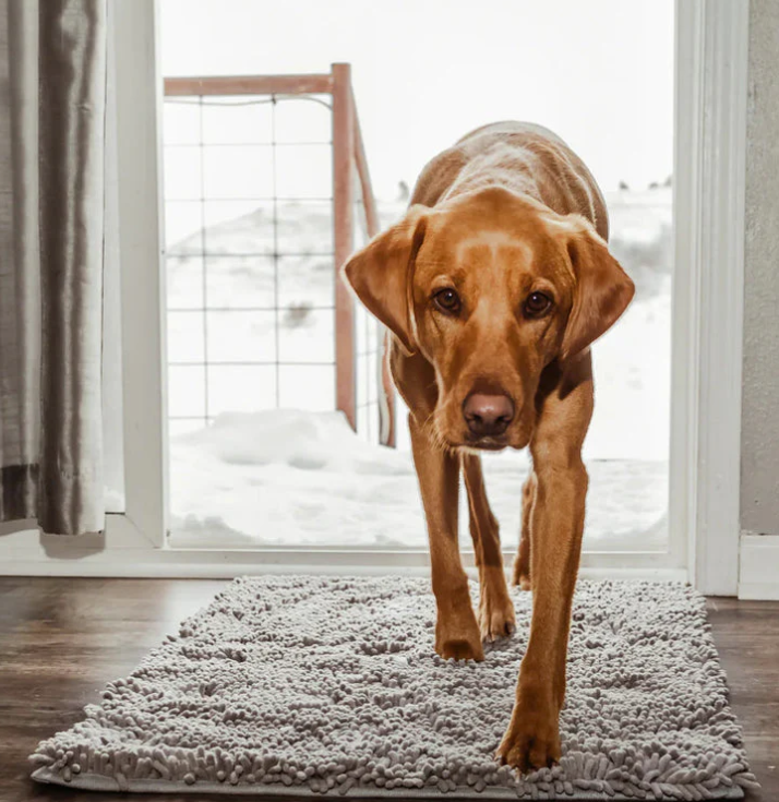 "Tapis microfibre ultra-absorbant pour chien, lavable, antidérapant, gris, idéal pour maison propre et sèche."